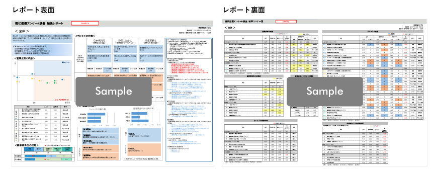 調査結果のサンプルイメージ